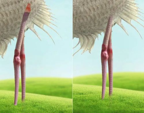 آموزش طراحی موجود خیالی در فتوشاپ